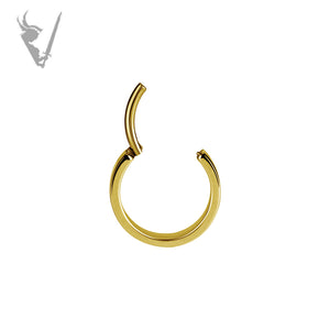 Valkyrie - Gold PVD Stainless steel earhoops