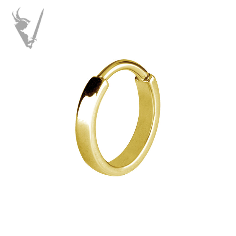 Valkyrie - Gold PVD Stainless steel earhoops
