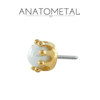 Anatometal - 18k Gold Threadless Cera Pearl Crown end