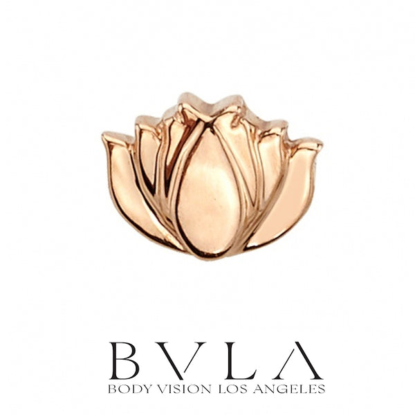 BVLA - 14k Gold - Flat Lotus - Threaded  end