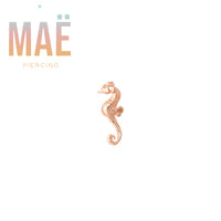 MAË - 14k Gold - Seahorse - Threadless end
