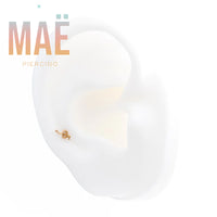 MAË - 14k Gold - Snake - Threadless end