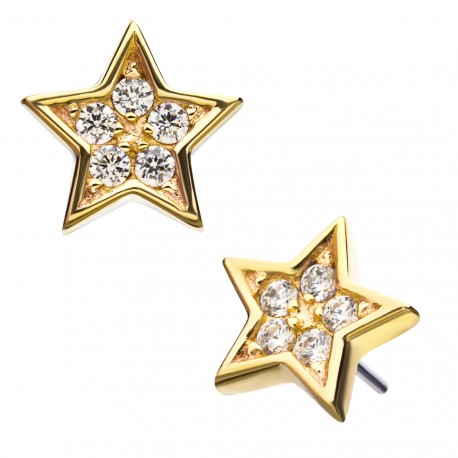 Invictus - 14kt Yellow Gold Threadless with Multi-Clear CZ Star Shape Top