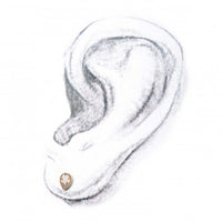 Invictus - 14kt Gold Threadless Clear CZ Teardrop Top