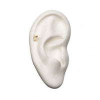 Invictus - 14Kt Yellow Gold Threadless  Dog Paw Clear CZ Top