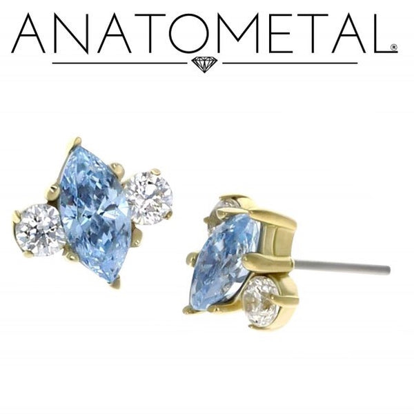 Anatometal - 18k Gold Threadless Marquise with side accents