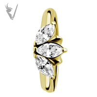 Valkyrie - Gold PVD Stainless steel ear hoops