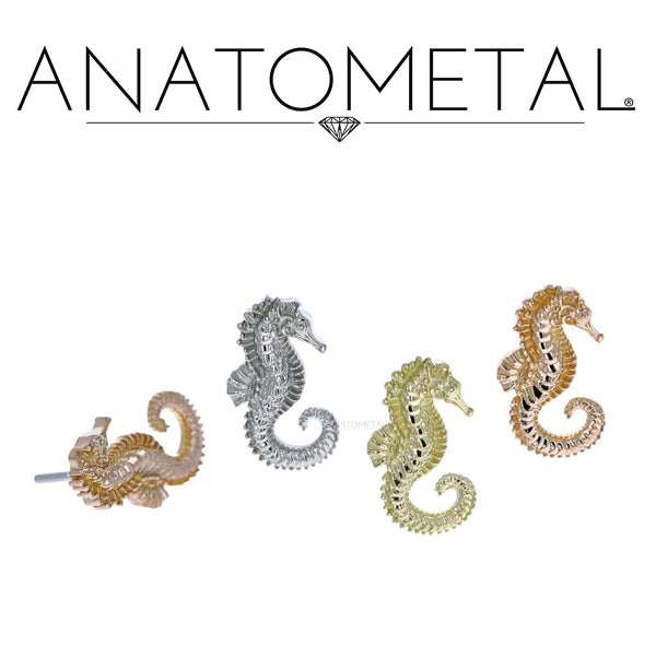 Anatometal - 18k Gold Threadless Sea Horse ends