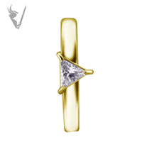 Valkyrie - Gold PVD Stainless steel earhoops