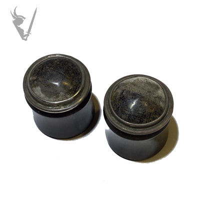 Valkyrie - Horn silver and petrified wood inlay plugs