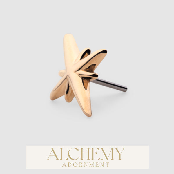 Alchemy Adornment - 14k Gold - Bangarang end