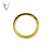 Valkyrie - Gold PVD Stainless steel earhoops
