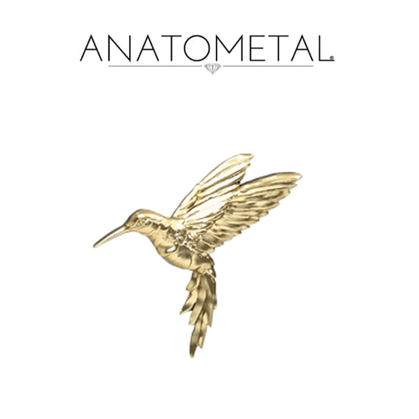 Anatometal - 18k Gold Threadless Hummingbird