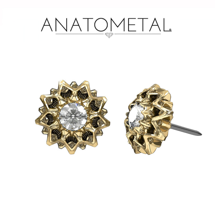 Anatometal 18k Gold Threadless Lucas end Valkyrie Canada