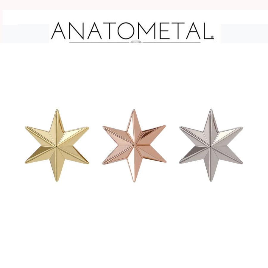 Anatometal - 18k Gold Threadless NStar end