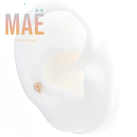 MAË - 14k Gold - Clover - Cz - Threadless end
