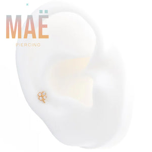 MAË - 14k Gold - Clover - Cz - Threadless end