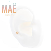 MAË - 14k Gold - Star - Threadless end
