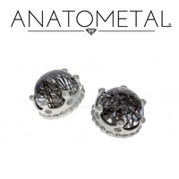 Anatometal - 18k Gold Threadless Queen ends
