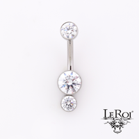 LeRoi Titanium curved barbell bijoux collection (int threads)
