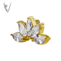 Valkyrie - Stainless steel gold pvd 5 fan marquise internally threaded end w/Premium Zirconia